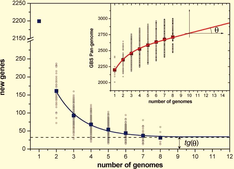 whole ) Each strain on average 1806 genes present in every