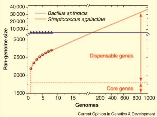 more strains (dispensable genome) the present GBS pan-genome