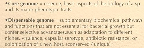 genome = essence, basic aspects of the biology of a sp and its