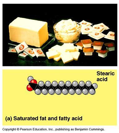 Saturated Fats Contains all the hydrogens that can be
