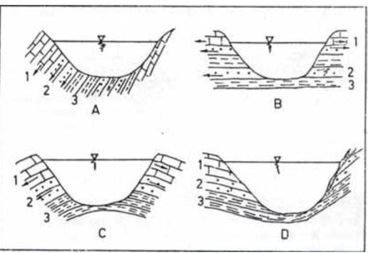 TOPOGRAPHIC SITUATION OF THE DAM / Basic geological and geological structure Where the direction of discontinuities (stratum, cracks, etc.