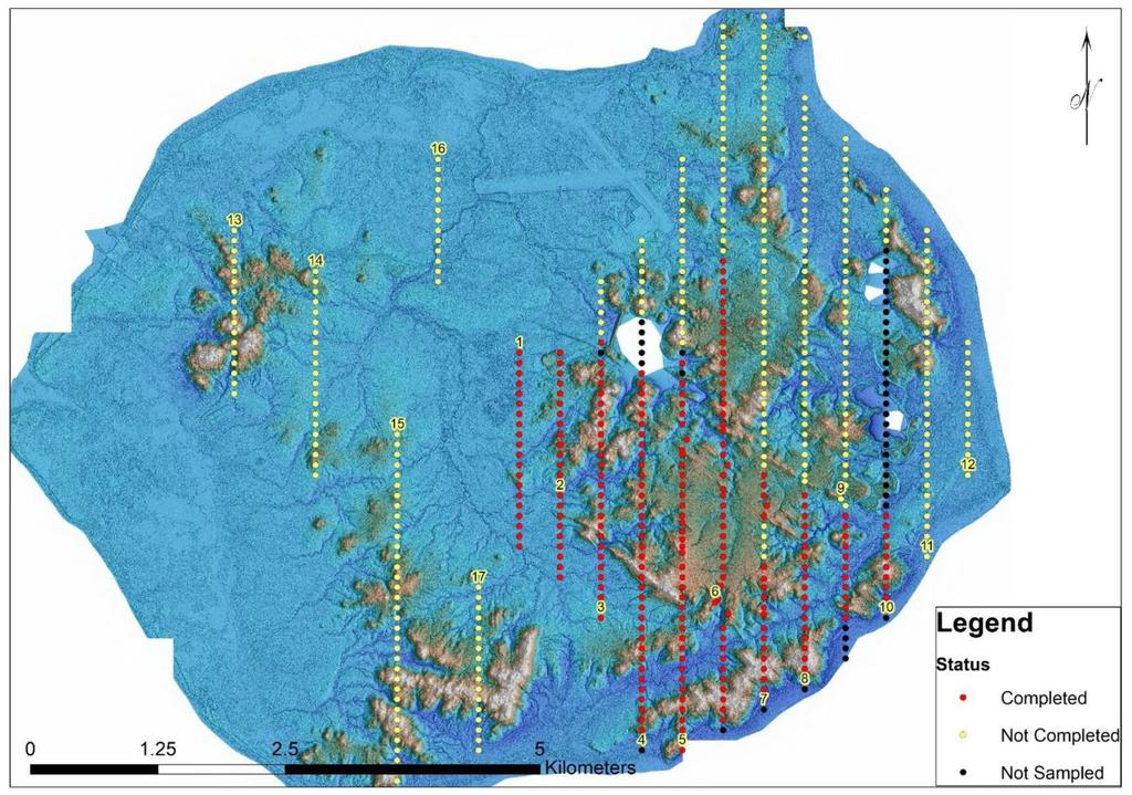 HORN ISLAND: EXPLORATION PATHWAY Extensive soil geochemistry to define