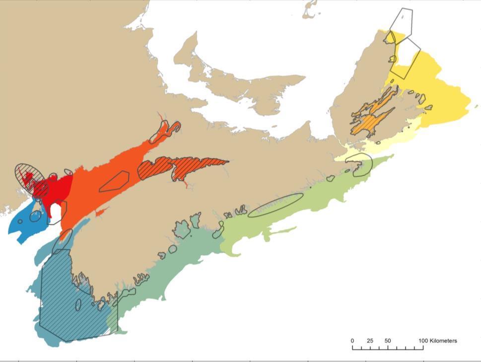Coastal EBSAs and Eco-Units Coastal Process in the Scotian Shelf Bioregion Different approach being used in the coastal planning area not using Marxan Ecological data in the coast is mostly