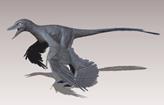 BEAST MODE! Q s How long ago did this dinosaur live? Where were the fossils found? When did this dinosaur use the extra wings for? What did other scientists think? What do you think aerodynamic means?