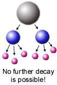 Weak Nuclear Force Responsible for holding more massive quarks and leptons together More massive fundamental