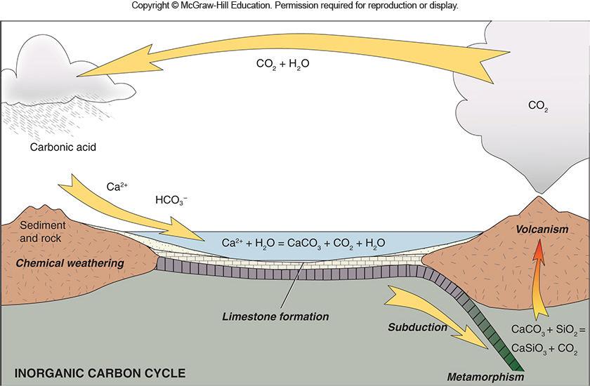 Weathering, the Carbon Cycle and Global Climate Present in the atmosphere as carbon dioxide gas Combines with water to form carbonic acid Weathers