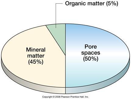 Soil Components Organic Matter Sources Dead plant material (litter) and animals Fecal matter of animals Humus is end product