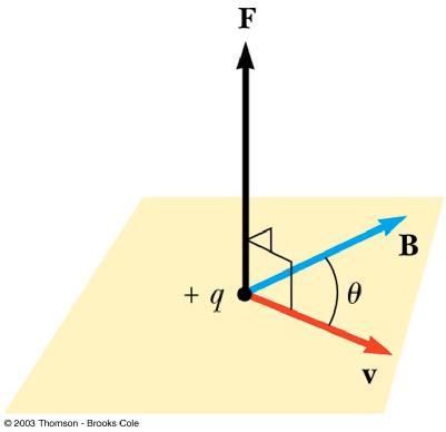 Finding the Direction of Magnetic Force Experiments show that the direction of the magnetic force is