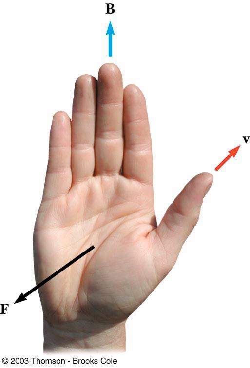 Right Hand Rule #1 Hold your right hand open Place your fingers in the direction of B Place your thumb in the direction of v The direction of