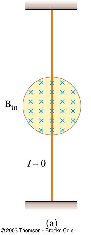 Force on a Wire The blue x s indicate the magnetic field is directed into the page The x represents the tail of the arrow Blue dots would be