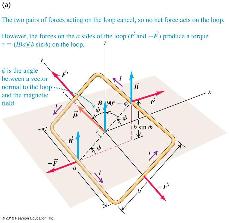 Magnetic Force and Torque on a Current Loop Let s look at the Net force and net torque on a current loop: df Idl B F IaB top and bottom F IbB sides But,