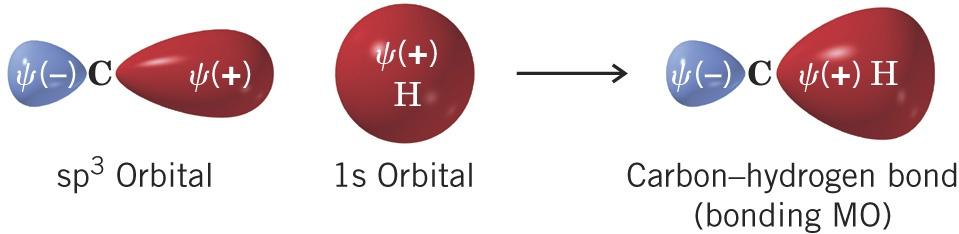 An sp3 orbital looks like a p orbital with one lobe greatly extended Often the