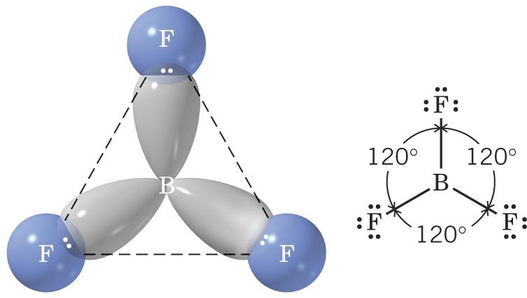 Boron Trifluoride Three sets of bonding electrons are farthest apart in a trigonal planar arrangement (bond angle 120o) The three fluorides lie at