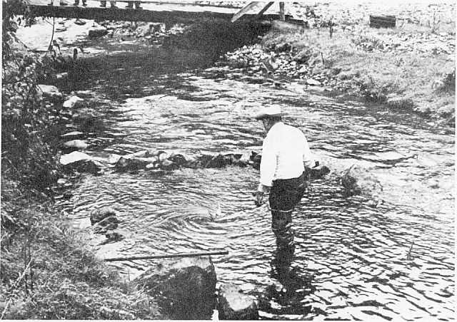 Because a high rate of water movement was not anticipated, the springs downstream were not monitored until long after the crest of the dye flood