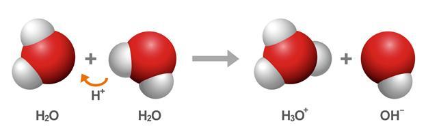 Introduction IV If additional ions (either H + or OH - ) are added to a solution, the equilibrium