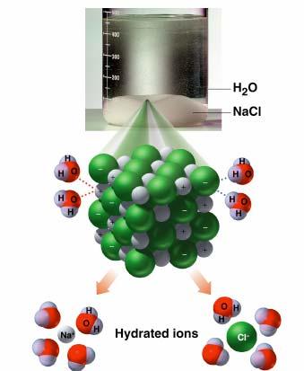Formation of a Na + and Cl - ions on the surface of a NaCl crystal are attracted to polar water molecules. In solution, the ions are hydrated as several H 2 O molecules surround each.