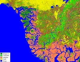 Coastal Forest using Satellite Remote Sensing and GIS Techniques 10m SPOT-4 Classified