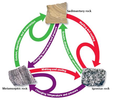 The Rock Cycle Any class of rock can