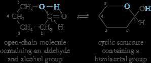 Cyclic Hemiacetals and Hemiketals Contain both an OH and a C=O group on different carbon atoms