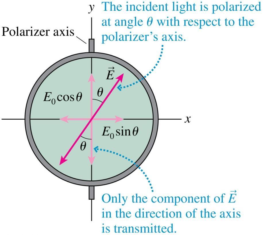 Malus s Law Suppose polarized light of intensity I 0 approaches a polarizing filter.