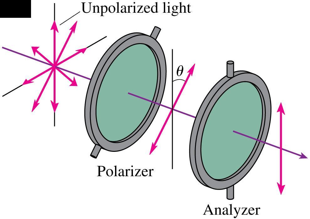 Polarizers and Analyzers Malus s law can be demonstrated with two