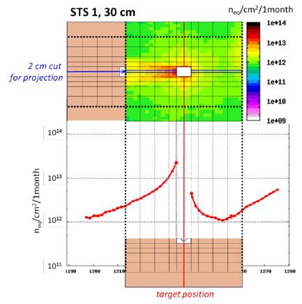Radiation environment FLUKA calculation of non-ionizing dose