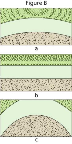 2. The geologic cross section in Figure A shows a series of layers of sedimentary units. As you read, sedimentary rocks are laid down in layers, much like the layers of clay in Step 1.