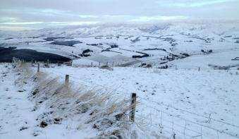 JOHN BISSET/ Fairfax NZ Snow blanketed the South Canterbury back country overnight.