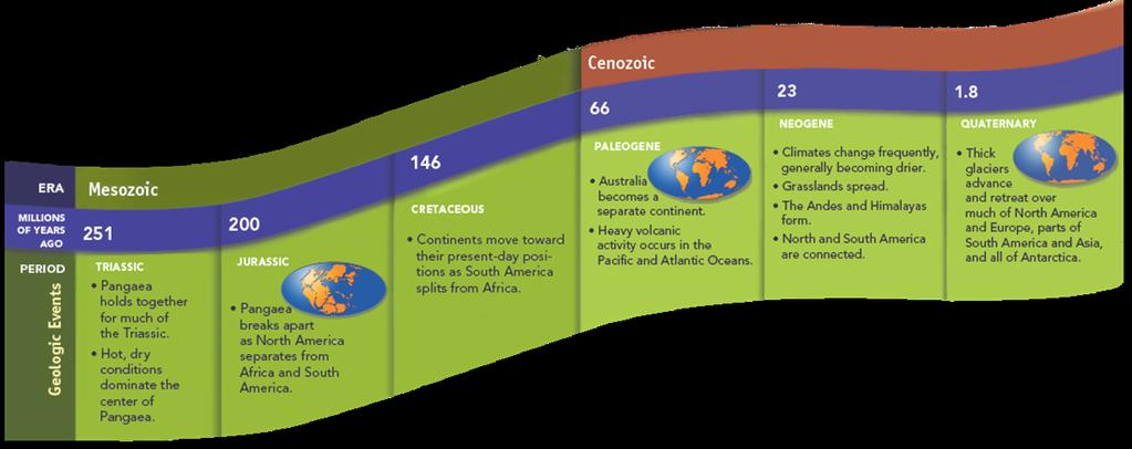 B. The Palogene and Neogene Periods During the Palogene and Neogene Periods the Earth's