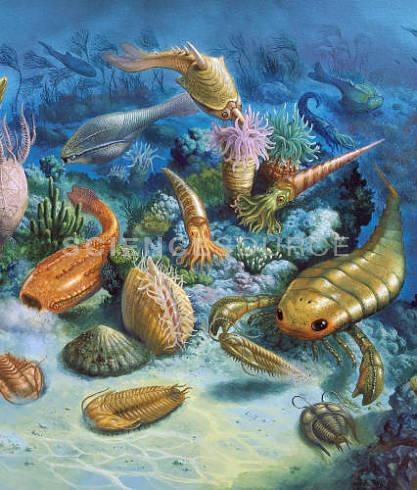Animal Life: Began with the early invertebrates, such as trilobites and brachiopods.