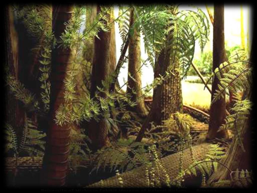 Plant Life: Early land plants included simple mosses, ferns, and then cone-bearing plants.