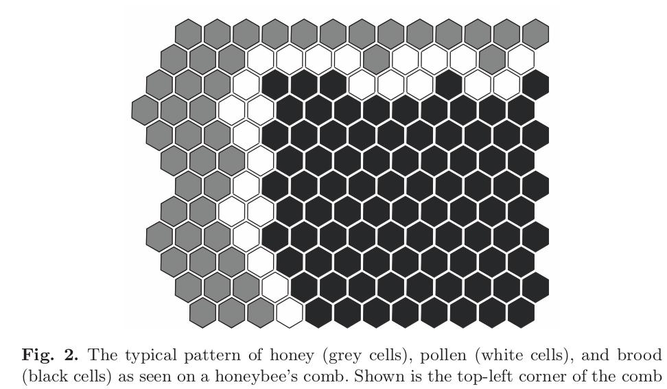 Example of SI in Biology: Honeybee Comb Structure There is a characteristic pattern of concentric brood, pollen, and nectar cells.