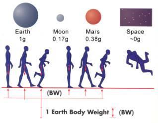 predominant force between astronomical bodies 2.