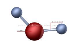 (sunlight) into Chemical Energy = GLUCOSE Inorganic molecules CO 2 and H 2 O are changed into Organic