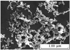 and LI Guang-she *  Chinese Universities, 2013, 29(3), 556 562 Immobilization of Hemoglobin on Cobalt Nanoparticles-modified Indium Tin Oxide Electrode: Direct Electrochemistry and Electrocatalytic