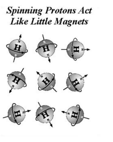 Hydrogen without magnetic field Normally, spins
