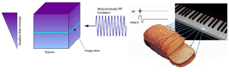 Slice selection Based on Larmour equation: ω 0 =γb 0 The central frequency of RF pulse determines the particular location excited Different slice