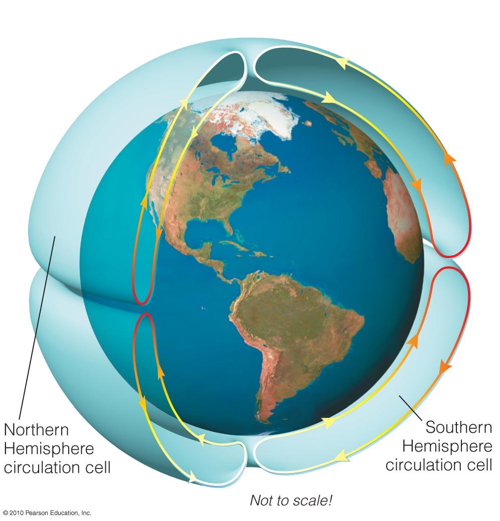 Circulation Cells: No Rotation Heated air rises at equator.