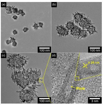 Figure 2.TEM images of MPFCNPs of various sizes: (a) ca. 35, (b) ca. 65, and (c) ca. 100 nm, respectively.