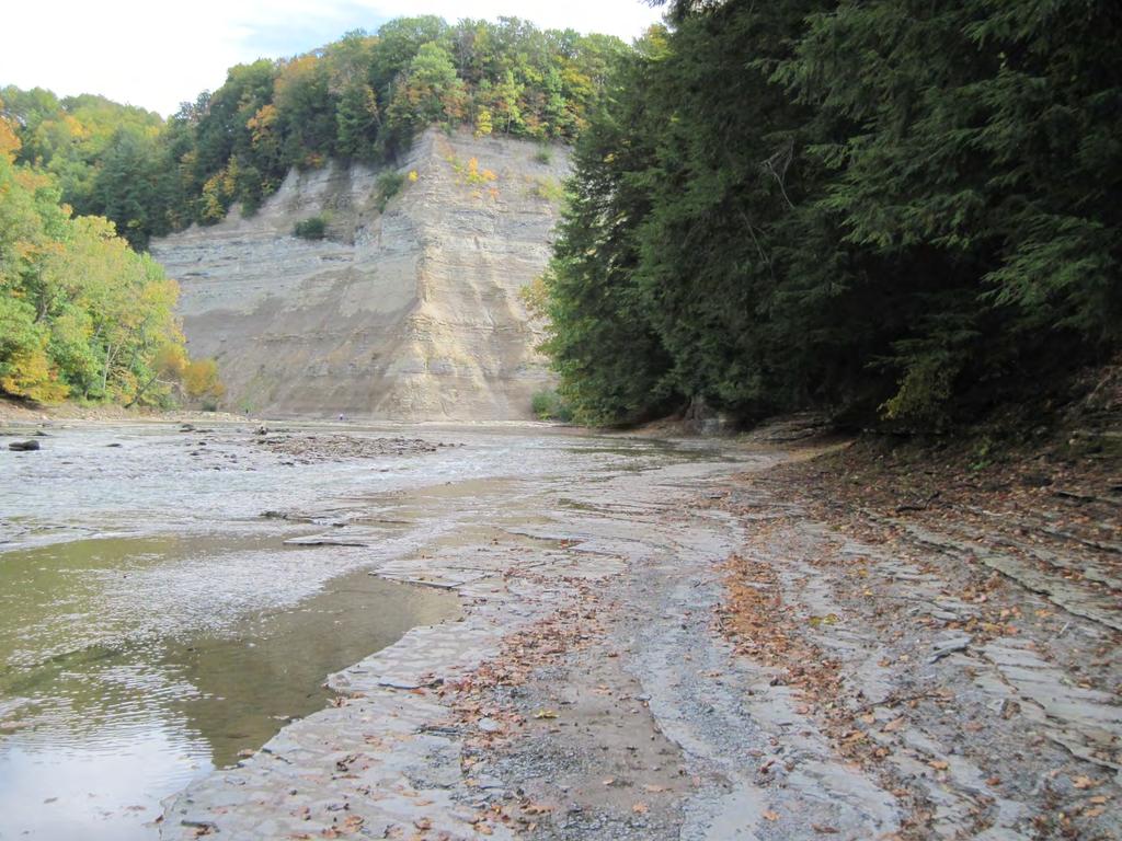 Cattaraugus Creek: A Story of Flowing Water and the Geology of the Channel It Flows