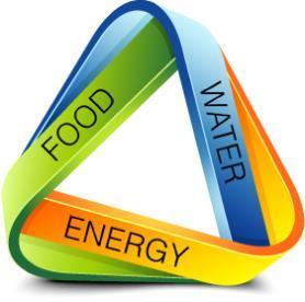 Motivation Food 60 % increase by 2050 (in comparison with 2005/7) The energy, food