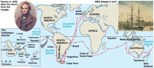 Set sail on HMS Beagle (1831-1836) Organisms were well suited to their widely diverse