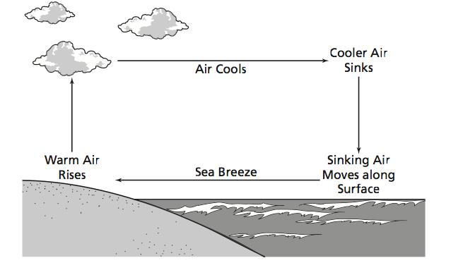 39. The drawing below shows a sea breeze. When is this type of wind pattern most likely to occur? A. during the day when the land heats faster than the surface of the sea B.