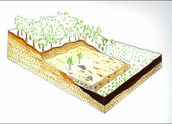 and interpreting soils for septic