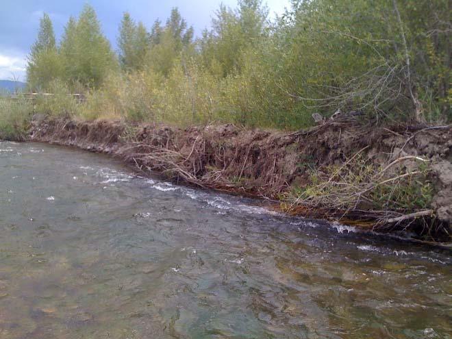 Floodplain reconnection and re-establishment is an important component of river system restoration because it enables flood waters to escape the channel and disperse in order
