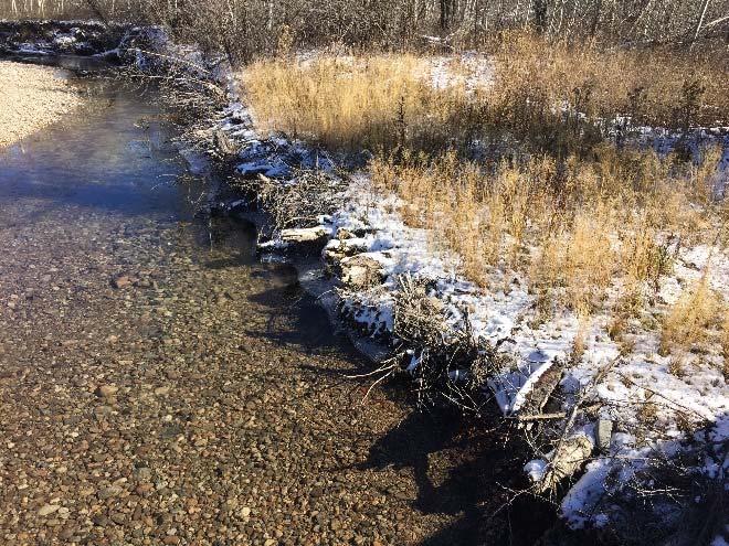 The wood revetment bank treatment achieves bank stabilization by installing large wood (root wads, stumps, logs) to harden the lower half of the river bank.