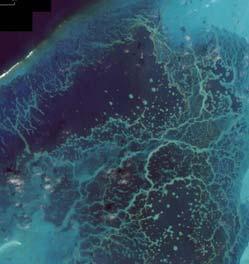 Ocean Mapping, Ecosystem Threats,