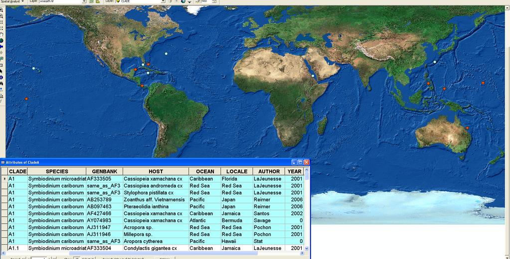 Global Symbiodinium Database