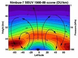 Brewer-Dobson circulation Rising tropospheric air with low ozone B-D circulation transports O 3 from tropics to mid-high latitudes O 3 max occur at high latitudes in late