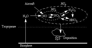 Cycling of NO x and NO y N 2 O and HNO 3 distribution in the stratosphere (AURA satellite observations MLS instrument) Feb 15 2007